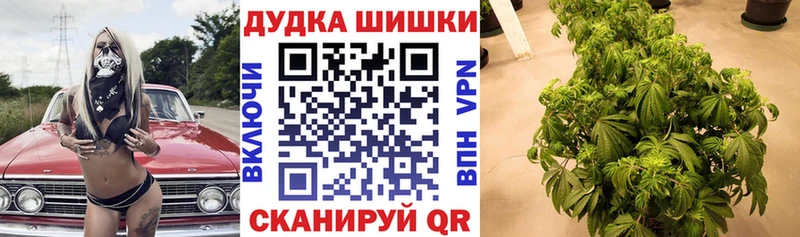 Каннабис ГИДРОПОН  блэк спрут рабочий сайт  Белёв  продажа наркотиков 
